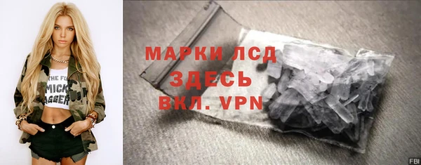 стаф Бородино