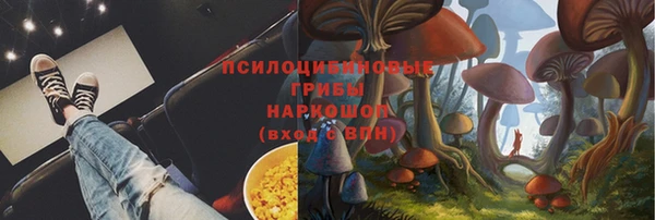 а пвп мука Сатка
