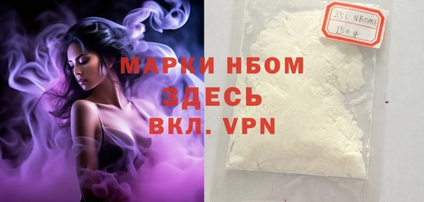 стаф Бородино