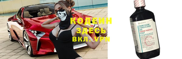 стаф Бородино