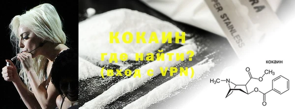 стаф Бородино