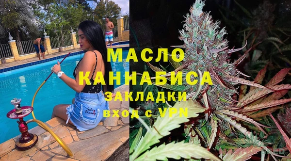 стаф Бородино