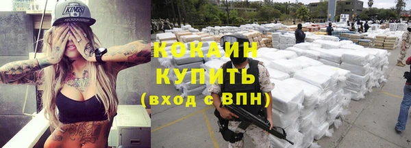 стаф Бородино