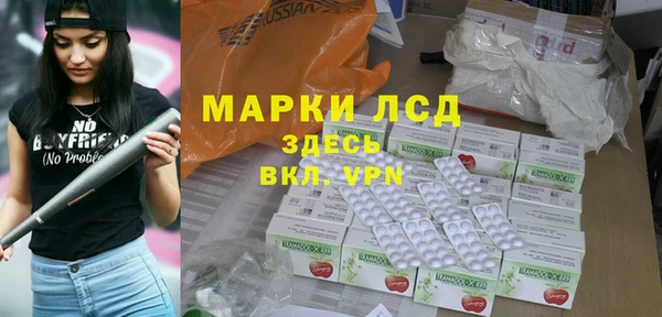 стаф Бородино