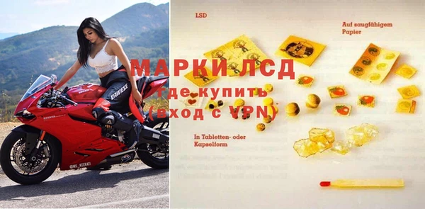 стаф Бородино