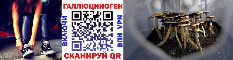 Псилоцибиновые грибы мицелий Большой Камень
