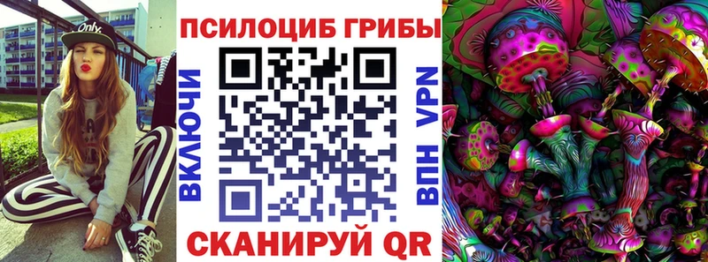 нарко площадка Telegram Большой Камень Галлюциногенные грибы Psilocybe