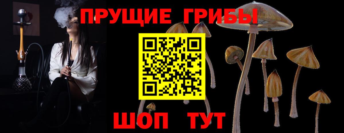 Псилоцибиновые грибы MAGIC MUSHROOMS  Вход с VPN  Большой Камень 